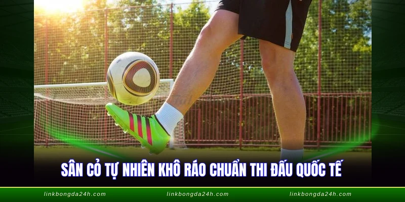 Giày Đinh FG - Lựa Chọn Hoàn Hảo Cho Sân Cỏ Thật 2 Sân cỏ tự nhiên khô ráo chuẩn thi đấu quốc tế