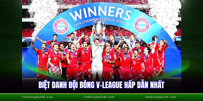 Biệt danh đội bóng V-League hấp dẫn nhất