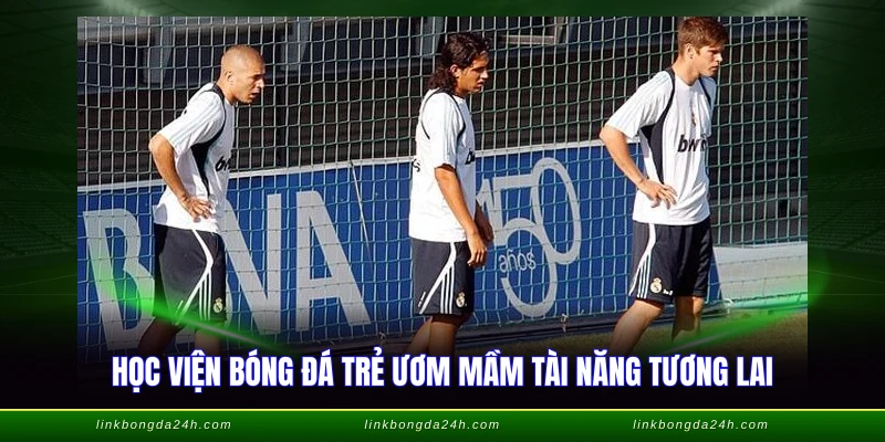 Lò Đào Tạo Bóng Đá Trẻ - Nôi Nuôi Dưỡng Tài Năng Việt 1 Học viện bóng đá trẻ ươm mầm tài năng tương lai