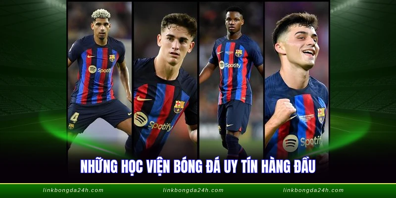 Lò Đào Tạo Bóng Đá Trẻ - Nôi Nuôi Dưỡng Tài Năng Việt 2 Những học viện bóng đá uy tín hàng đầu