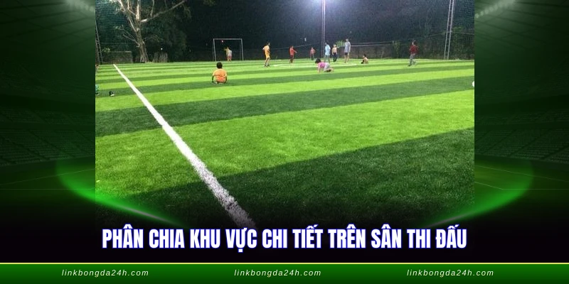 Phân chia khu vực chi tiết trên sân thi đấu