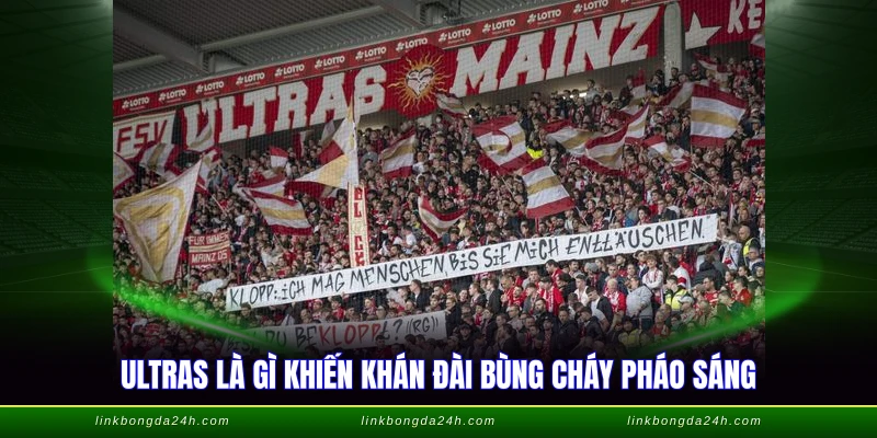 Ultras Là Gì - CĐV Cuồng Nhiệt Châu Âu Phong Cách Ý 1 Ultras là gì khiến khán đài bùng cháy pháo sáng